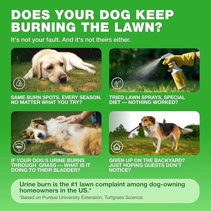 Grass Burn Spot Chews for Dogs - Urine Neutralizer for Lawn - Pee Lawn Spot Saver Caused by Urine - Probiotics, Enzymes & Multivitamins - Grass Saver Soft Treats for Canine Digestive and UTI Support