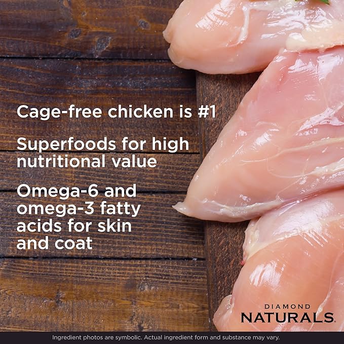 Diamond Naturals Kitten Real Meat Recipe Natural Dry Cat Food With Real Cage Free Chicken 6Lb