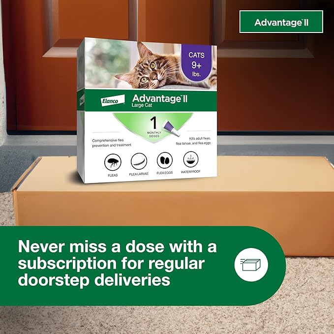 Advantage II Large Cat Vet-Recommended Flea Treatment & Prevention | Cats Over 9 lbs. | 1-Month Supply (Pack of 3)