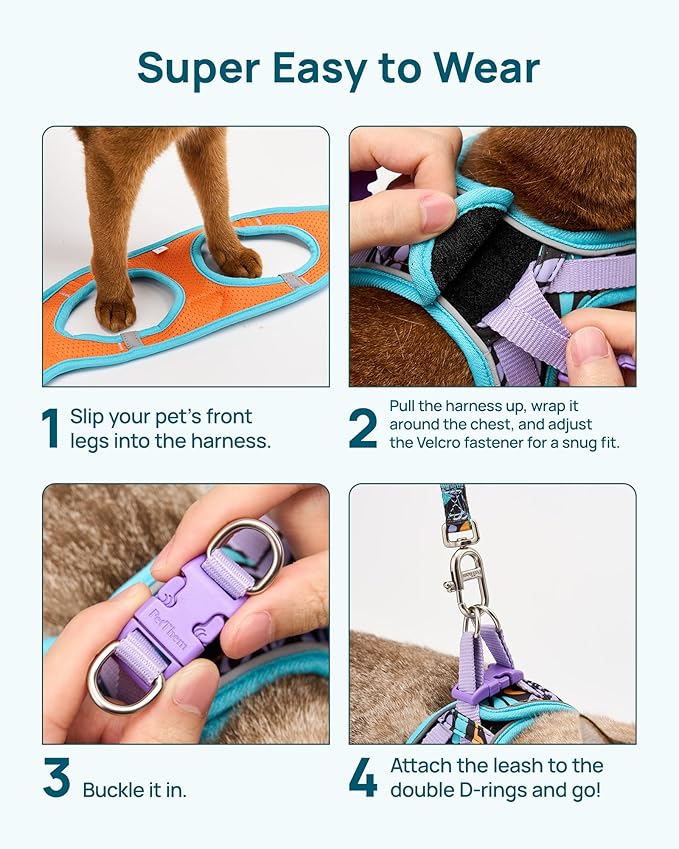 PetThem Upgraded Cat Harness and Leash Set - Step-in Escape Proof Adjustable Cat Harness, Comfortable Soft Lightweight, Reflective Harness for Walking, Travel, Camping (Butterfly Magic, L)