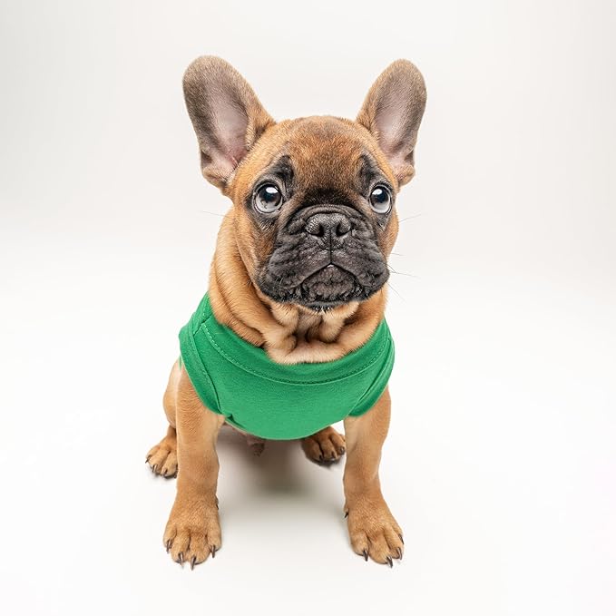Congrats! Dog Tee Shirt | Sleeveless | School Graduation Ceremony Party | Class of 2025 2026 2027 | Mom Dad Graduation Prop |Green, Small (438)