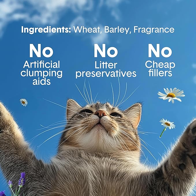 Boxie Gently Scented Cat Litter, Lightweight 30-Day Odor Control, Clumping, 11.5lb