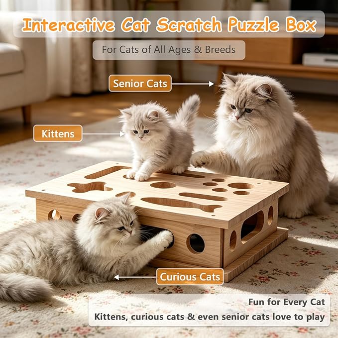 Cat Scratch Puzzle Enrichment Box, Cat Nail File Scratcher Toy Box with Sandpaper Inside, Help Reduce Stress for Trimming Nails, Wooden Claw Care Saver Box for Indoor Cats of All Breeds & Ages
