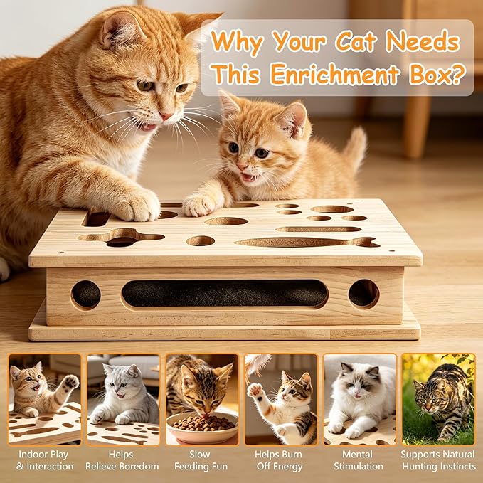 Cat Scratch Puzzle Enrichment Box, Cat Nail File Scratcher Toy Box with Sandpaper Inside, Help Reduce Stress for Trimming Nails, Wooden Claw Care Saver Box for Indoor Cats of All Breeds & Ages