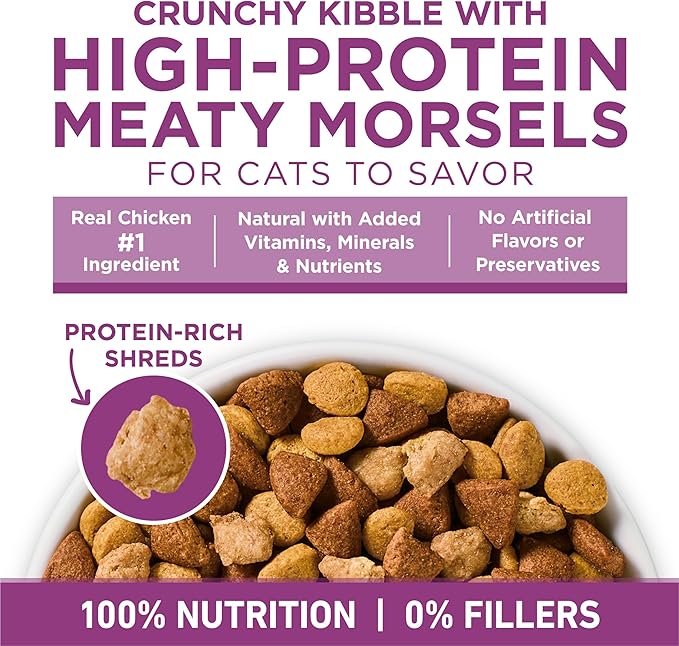 Purina ONE Plus Whole Body Support with Chicken Dry Cat Food - 16 lb. Bag