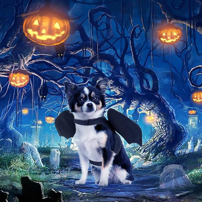 RYPET Dog Halloween Costume - Halloween Bat Wings Pet Costumes for Dogs Cats Halloween Party Medium