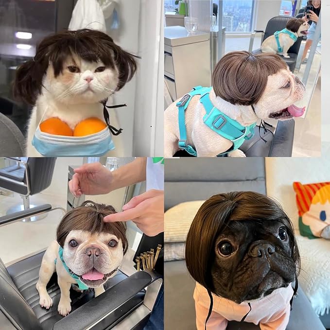 Popular Human-Style Hair Wigs Funny Pet Wig – DIY Haircut & Adjustable Fit – Cat & Dog Costume for Halloween, Party, Photo Shoots – Fits 5kg-50kg Pets