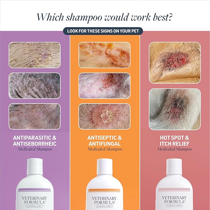 Veterinary Formula Clinical Care Antiseptic and Antifungal Medicated Shampoo for Dogs & Cats, 16 Fl Oz – Helps Alleviate Scaly, Greasy, red Skin – Paraben, Dye, Soap-Free (2 Pack)