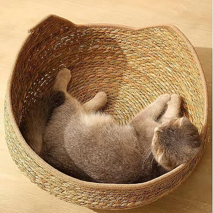 Cat Bed, 13.78x13.78x5.12 inches Cat Woven Nest Bed with Soft Cushion and Pillow - All Season Weaving Pet Sleeping Resting Scratching Furniture for Puppy Dog Kitten