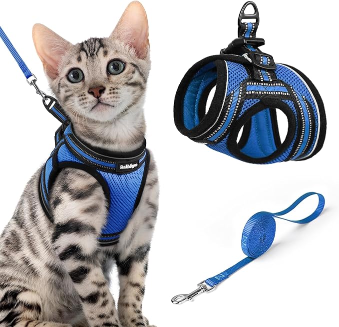 rabbitgoo Cat Harness and Leash Set for Walking Escape Proof, Adjustable Soft Kittens Vest with Reflective Strip for Cats, Comfortable Outdoor Vest, Blue, XL