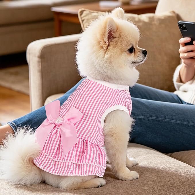 Pet Summer Dress, Cute Princess Dog Dresses for Small Dogs Girl with Bright Color Design, Sweet Bowknot, Small Puppy Clothes for Girls, 2 Pack, XS
