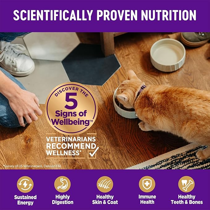 Wellness Complete Health Adult Dry Cat Food for Indoor Cats, Natural, Grain Free Kibble, Chicken Recipe, 5.5 lb Bag