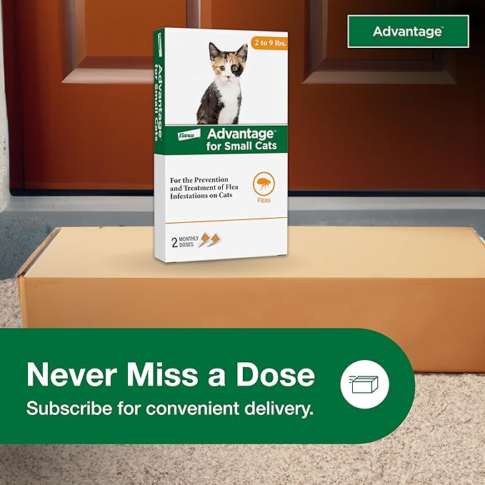 Advantage Topical Cat Flea Treatment and Prevention for Small Cats 2-9 lbs. | Apply Flea Drops Monthly | 2 Treatments, (Pack of 2)