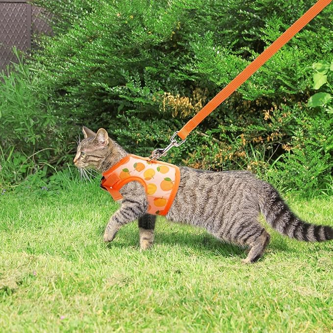 BINGPET Cat Harness with Leash Escape Proof - Fashionable Mesh Cat Dog Walking Harness Leads, Adjustable for Kitties Puppies Small Animals, Large