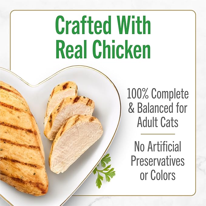 Purina Fancy Feast Petites Grilled Chicken Entrée With Rice In Gravy Gourmet Wet Cat Food - (Pack of 12) 2.8 oz. Tubs