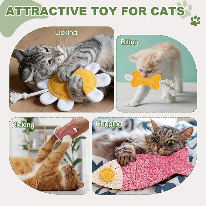 Bite Resistant Catnip Playing, Durable and Interesting, Flower Shaped Cat Teeth Chew Playing Catnip Filled (Yellow White), Intended for Bedroom/Balcony/Living Room