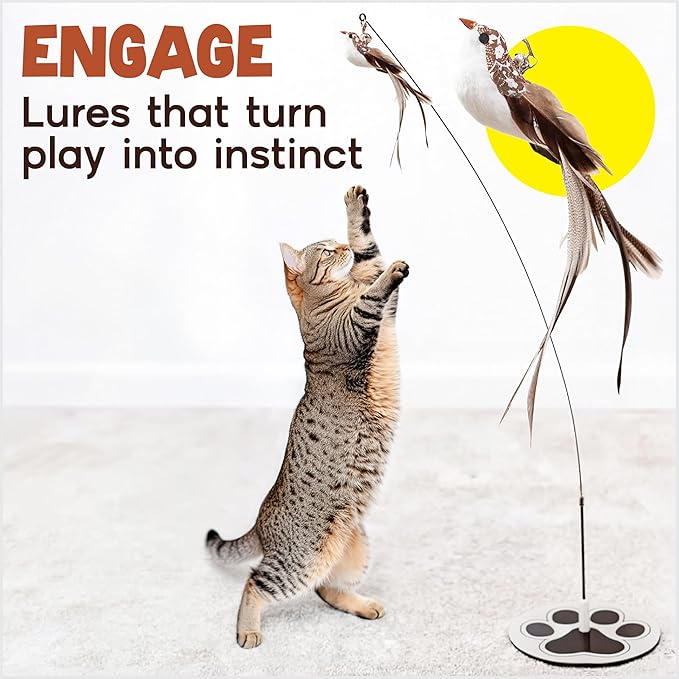 Interactive Cat Toys for Bored Indoor Adult Felines - Any Surface Base Teaser Wand - Feather Stimulation Activity - Bird Simulation Self Play Kitten Enrichment Solo Exercise - Juguetes para Gatos