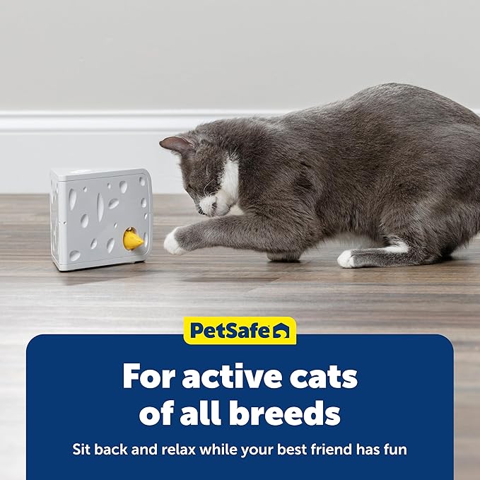 PetSafe Cheese - Interactive, Electronic Cat Toy - Peek-A-Boo Mouse Hunt Game - Hide and Seek for Bored and Anxious Cats - Kitten Teaser Toy - Automated Cat Toy for Cat Enrichment and Exercise