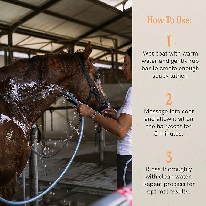 J.R.LIGGETT'S Liquid Botanical Horse Shampoo for Sensitive Skin - 100% Detergent-Free, Non-GMO Formula - Gently Deep Cleans and Nourishes Healthy Skin, Mane & Tail - 16.9 fl oz