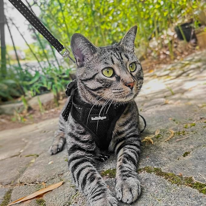 rabbitgoo Cat Harness and Leash, Escape Proof Vest with 3 Adjustable Buckles, Soft Comfortable Kitten Harness, Easy to Wear, Reflective for Safe Outdoor Walking, XS, Black