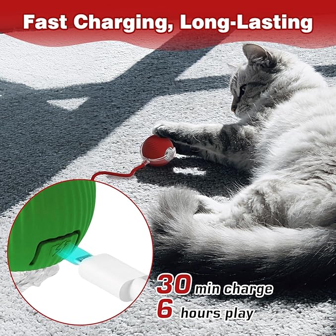 Interactive Dog Cat Toys Balls 360° Smart Automatic Rolling Interactive Rolling Ball Cat Toy Pet Ball Fast Moving Toy for Dog and Cat(Red)
