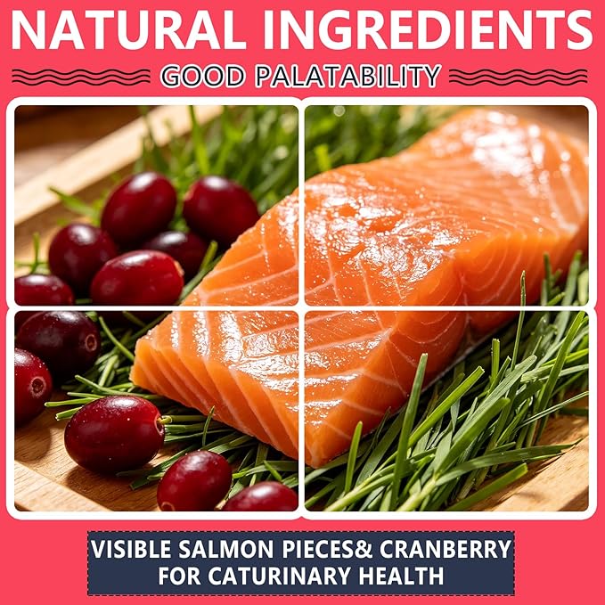 Salmon & Cranberry Cat Treats with D-Mannose - Urinary Tract Support for Indoor Cats, Crunchy Dental Health Snacks in 6oz Resealable Jar