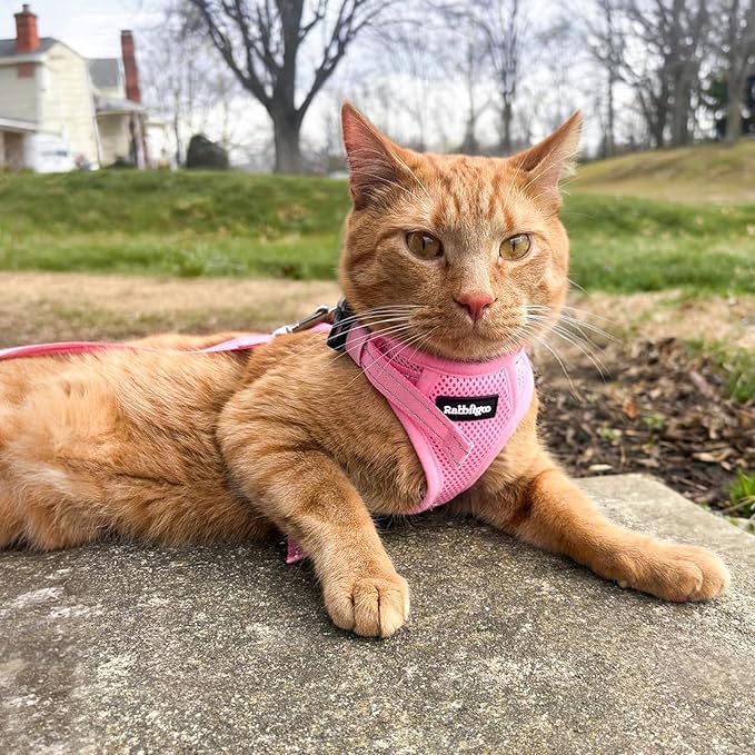 rabbitgoo Cat Harness and Leash, Escape Proof Vest with 3 Adjustable Buckles, Soft Comfortable Kitten Harness, Easy to Wear, Reflective for Safe Outdoor Walking, Medium, Pink