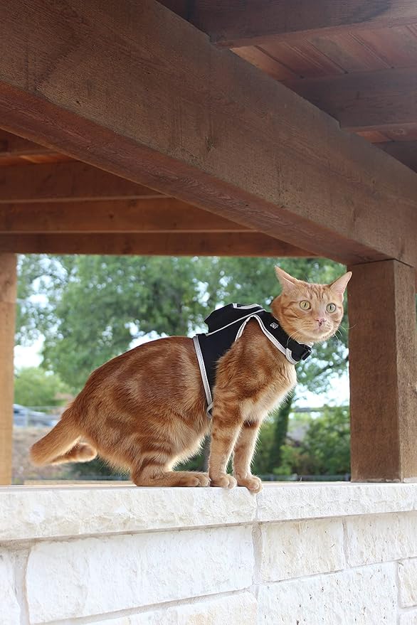 Travel Cat & Stray Cat Harness and Leash Set - Adjustable Velcro Mesh Cat Harness and Strong Nylon Leash Kit - Comfort Escape Proof Harness for Cats, Kitten for Outdoor Walking,Hiking (Medium:9-11 in)