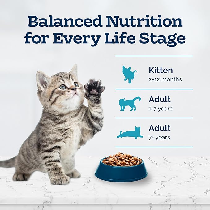 Blue Buffalo Tastefuls Kitten Food With DHA Dry Cat Food Made in the USA with Natural Ingredients, Chicken Recipe, 3-lb. Resealable Bag