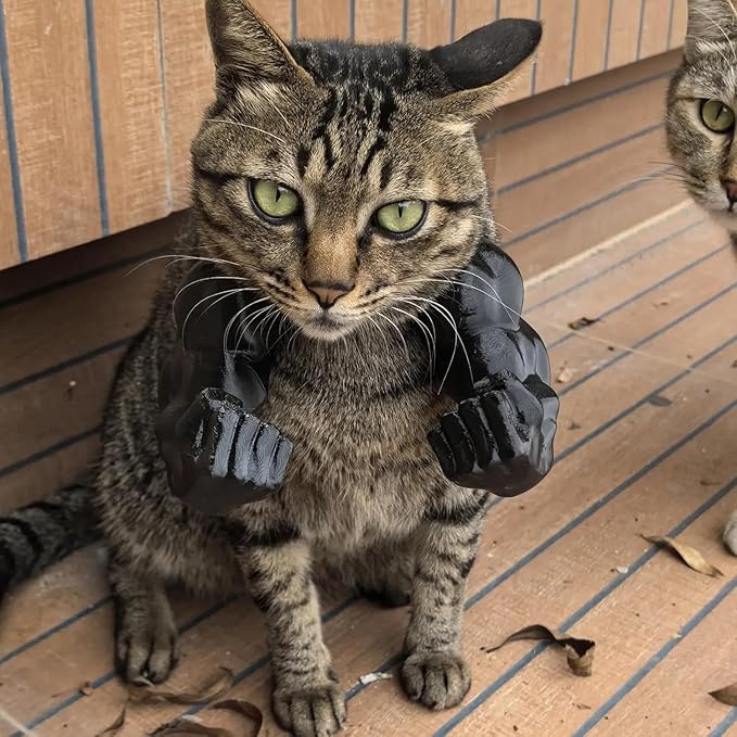 Funny Cat Muscle Arms Christmas Costume, 3D Printed Strong Arms for Cats Neck Muscle Arm Accessory, Cute Holiday Pet Cosplay Outfit for Kitten April Fool's Day & Halloween Parties(Black)
