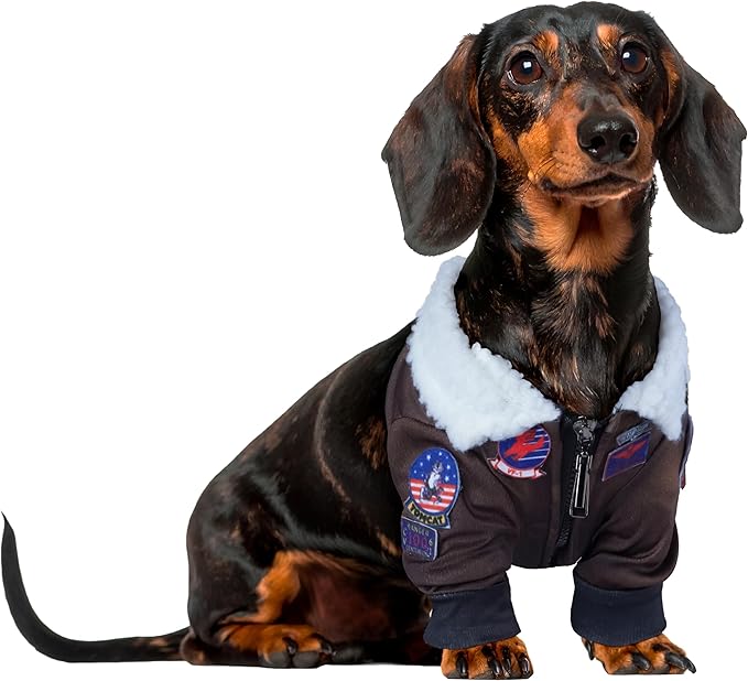 Top Gun: Maverick Pet Costume for For Dogs or Cats by Rubies, Medium