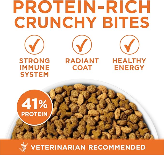 Purina ONE High Protein, Healthy Weight Plus Ideal Weight With Chicken Dry Cat Food - 3.5 lb. Bag