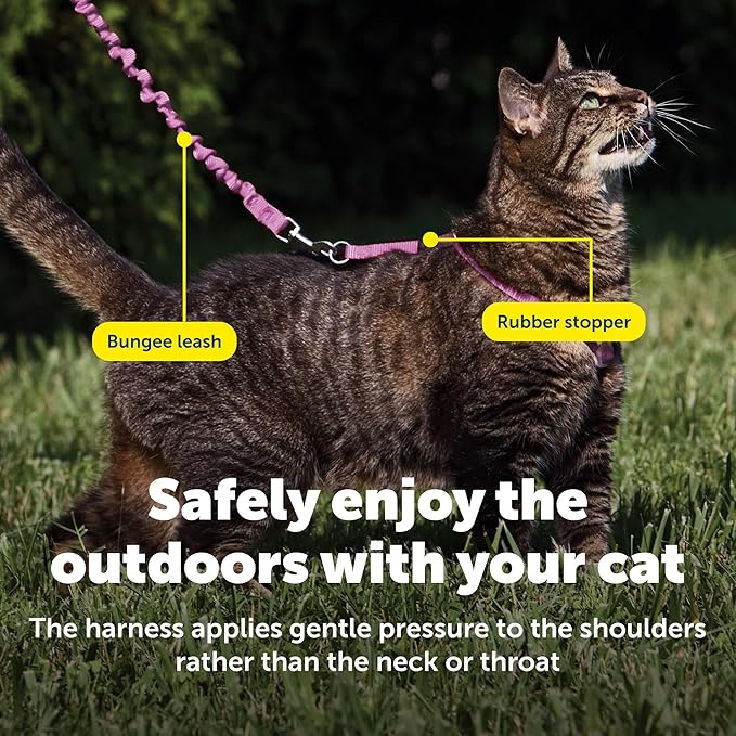 PetSafe Come with Me Kitty Harness and Bungee Leash Adjustable, Lightweight Harness for Cats Large, Dusty Rose