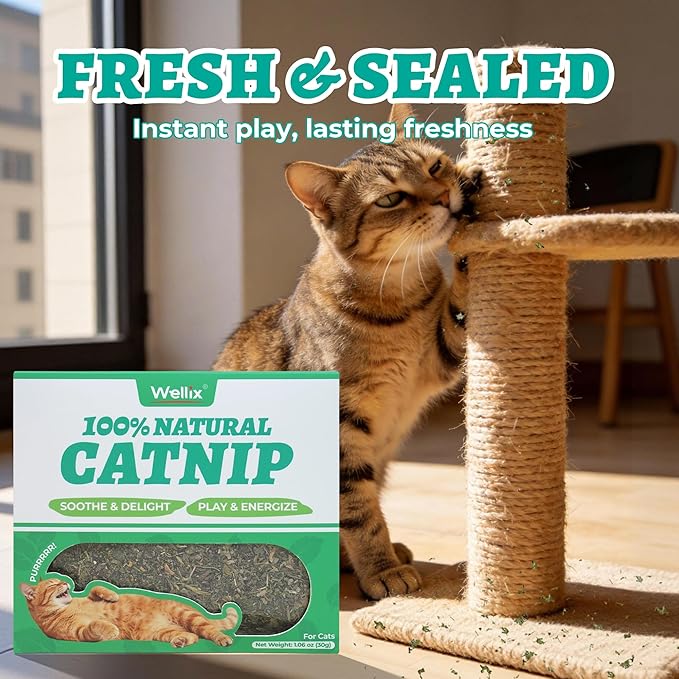 Wellix Fresh Catnip for Cats, Natural Dried Catnip Leaves, Flowers & Stems - Fresh Aroma, Used as Treats or Refillable Cat nip Toys, Non-addtictive, Safe for Indoor Kittens 1.06oz
