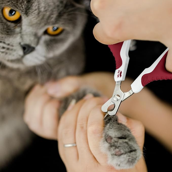 Mr. Pen- Cat Nail Clipper, Stainless Steel, Professional Sharp Cat Claw Trimmer for Small and Medium Cats, Pet Nail Clipper with Sturdy Non Slip Handle