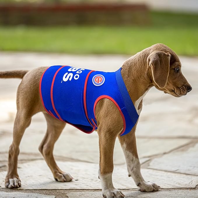 MLB Chicago Cubs Dog Anxiety Shirt Calming Soothing Vest, for Dogs & Cats with Anxiety, Fears, Fireworks, Loud Noises, Dark, Lonely Keeps Dogs Calm and Feeling Safe, Relaxing Jacket, Medium