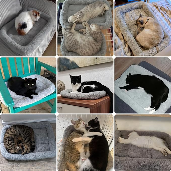 Small Cat Bed Mat, 22" x 16" Plush Cushion with Surrounding Pillow for Small to Meidum Dogs Cats Sleeping, Indoor Pet Beds Furniture Carrier Crate Anti Skid Pad, Washable, Medium