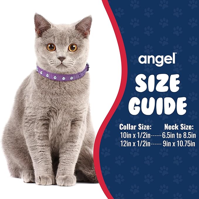 Studded Cat Collar, Genuine Leather Kitten Collar, Sturdy Breakaway Cat Collar with Bell and Elastic Stretch, Cat Accessories, Orchid Purple, 10 x 1/2 inches - Angel Pet Supplies