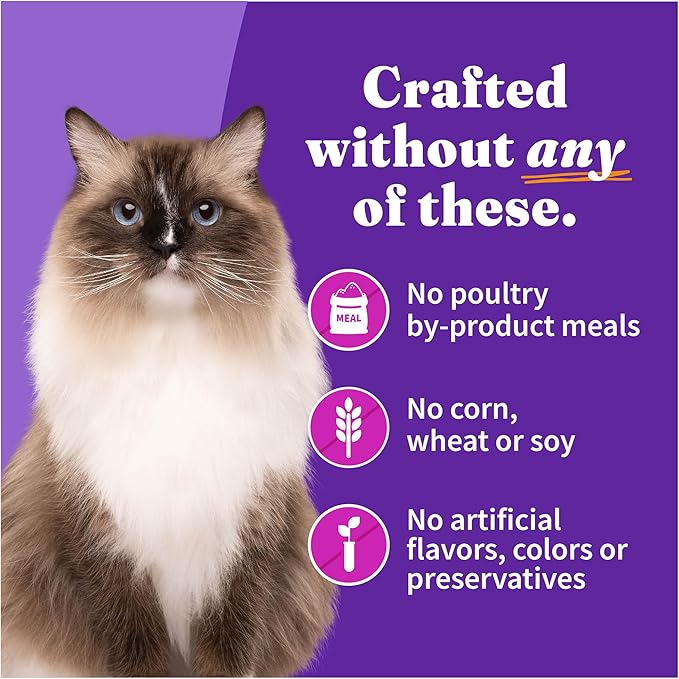 Halo Wet Cat Food Turkey & Duck Recipe, Grain Free Wet Cat Pate, Canned Cat Food for Extra Hydration, 5.5 Oz Can (Pack of 12)