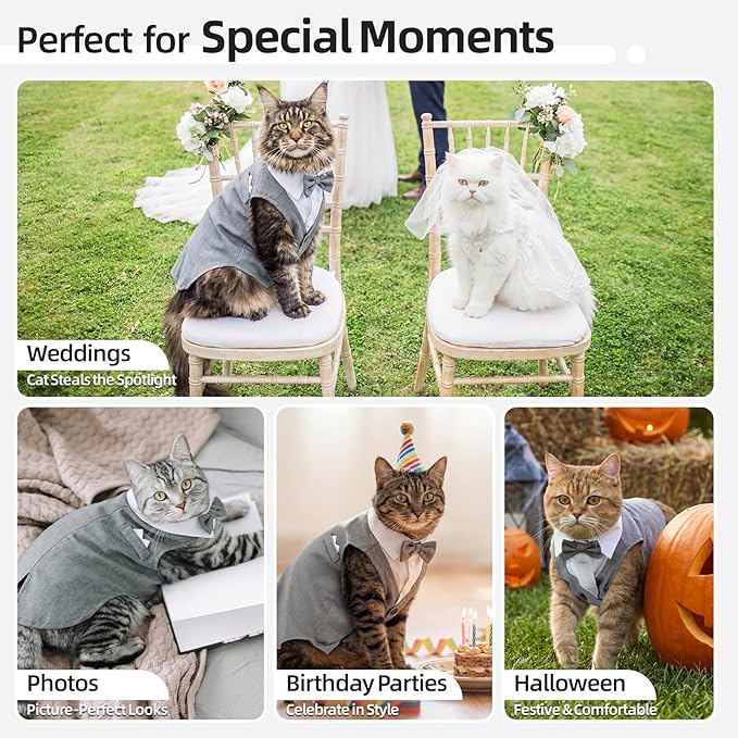 QBLEEV Cat Tuxedo Outfit, Sphynx Cat Costume for Cats Only, Formal Kitten Clothes Attire Suit with Bow Tie, Stylish Birthday Wedding Party Photo Shoots Costume for Male Female Cats, S, Grey