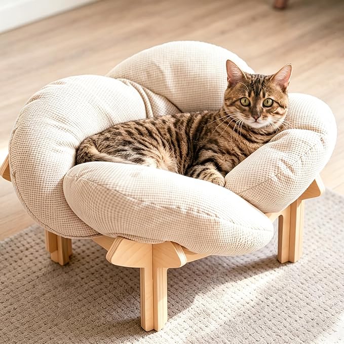 PACHIRA Elevated Cat Bed Wooden, Cat Couch Fluffy, Cat Sofa Flower for Indoor Cats, Raised Cat Bed with Washable Fluffy Cushion and Birch Wood, Cat Chair for Kitty and Puppy, Cat Furniture (White)