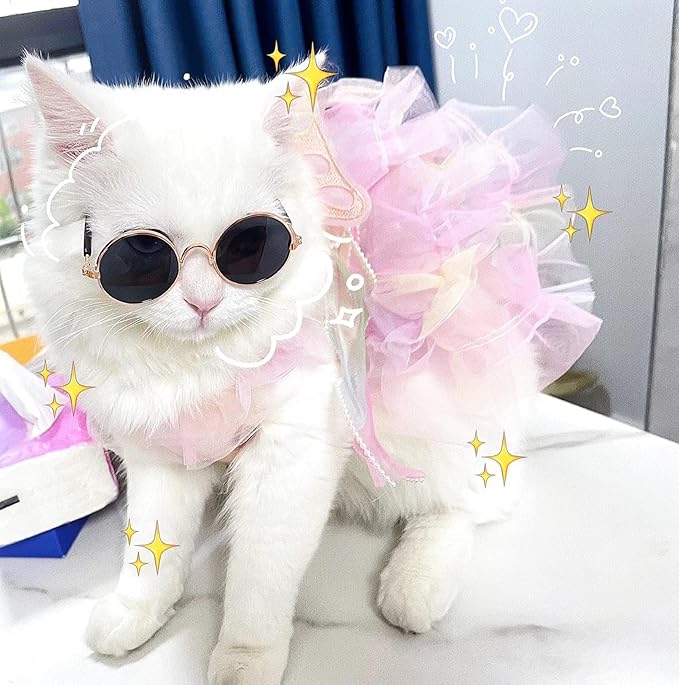 Dog Cute Rainbow Butterfly Dresses Cat Princess Dresses Pet Wedding Dresses Suitable for Corgis Teddy Dogs French Bulldog (Colorful Butterfly Skirt,XXXL)