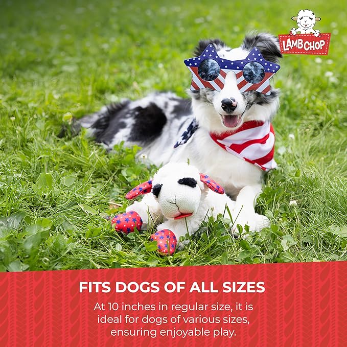 Multipet Lamb Chop Dog Plush Toy - Squeaky Toy for Small & Medium Dogs - Extra Soft Plush - Stuffed Animal for Cuddling & Playing (10", Cream, 5 Squeakers) (Pack of 2)