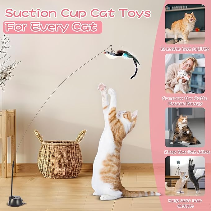 Assortment of Cat Feather Toy,Cat Wand Toy Pack,Interactive Bird Simulation Cat Toy Set with Sticky Super Suction Cup,Include Detachable Replacements Feathers Toys (Small, 6PC Set)