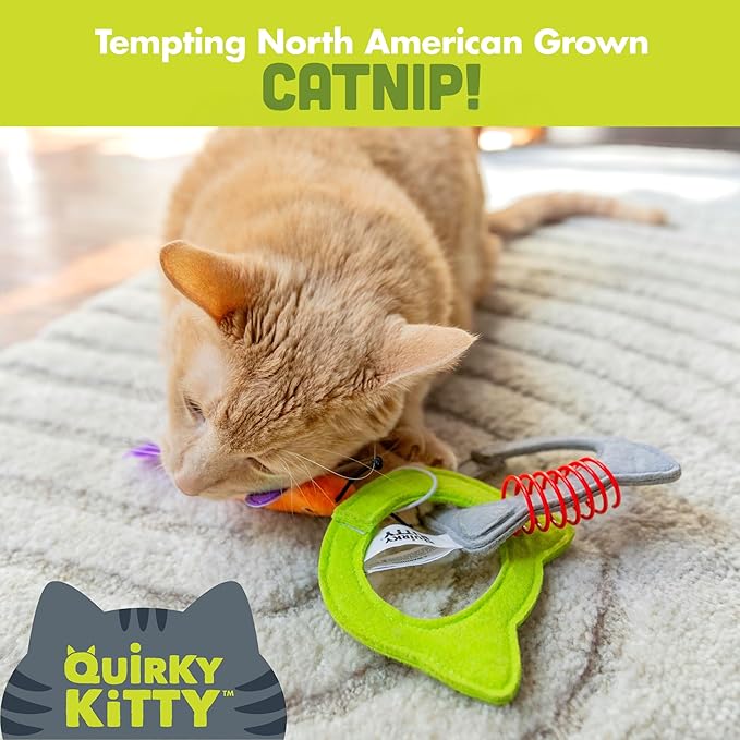 Kitty Connects Catnip Links Felt Rings Cat Toy| Modular Linkable Cat Toy Set with Plush Dragonfly & Spring | Interactive Catnip Play for Endless Fun