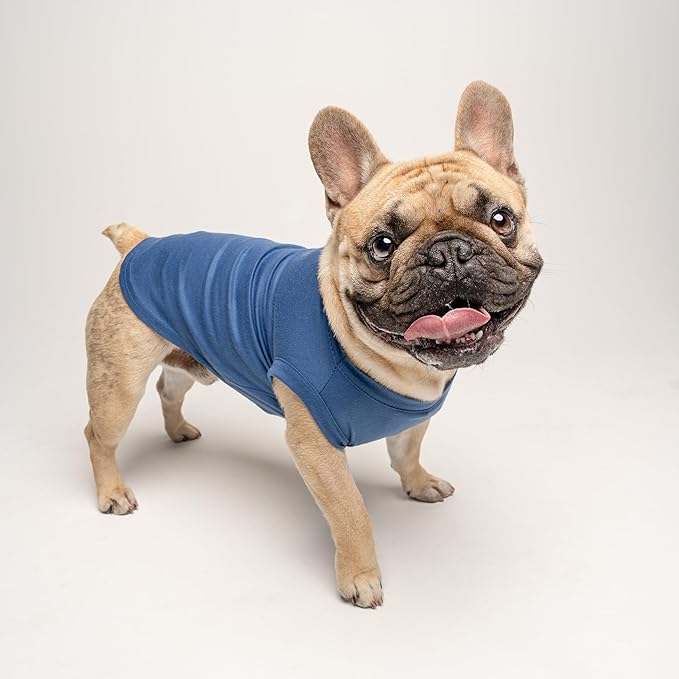 Love My Grandma Dog Tee Shirt | Sleeveless Breeds | Mother's Day | Grandma Gift | Valentine's Day |Royal Blue, 3X-Large 1340