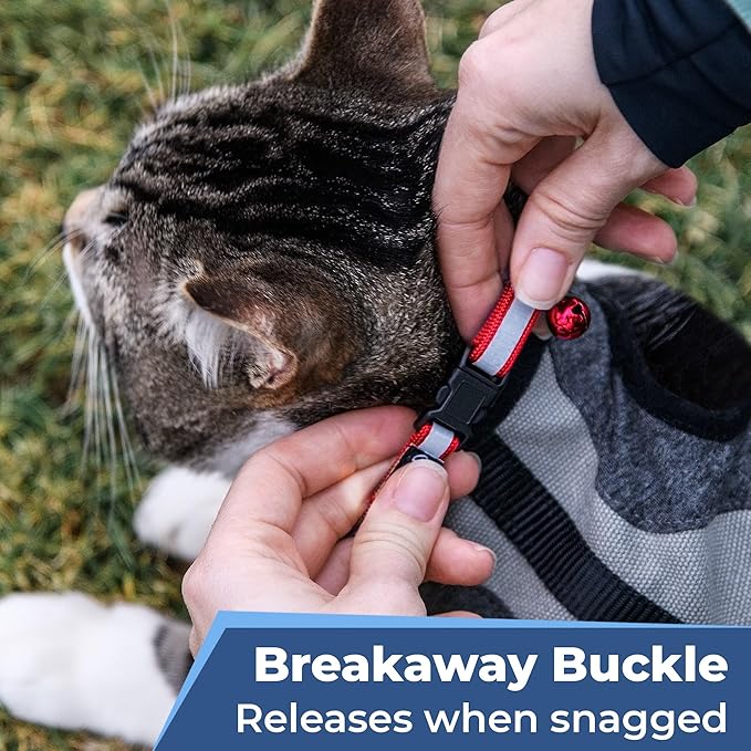 GoTags Reflective Cat Collar Personalized, Custom Cat Collar with Engraved Name and Phone Number, Safety Collar with Breakaway Release Buckle and Bell, Adjustable for Cats and Kitten 5 Colors