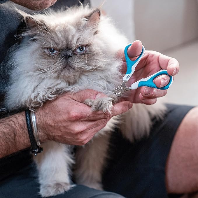 Mr. Pen- Cat Nail Clipper, Stainless Steel, Professional Sharp Cat Claw Trimmer for Small and Medium Cats, Pet Nail Clipper with Sturdy Non Slip Handle