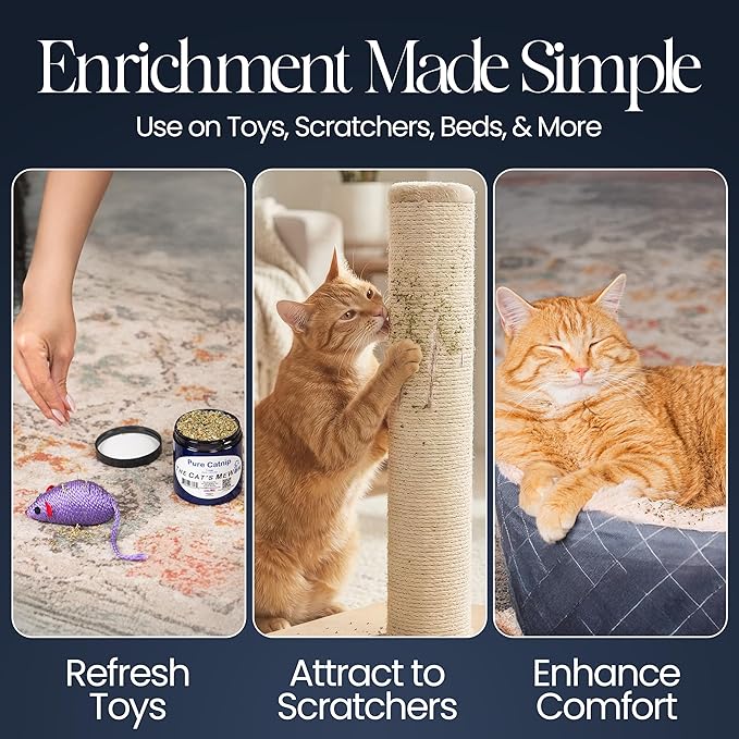 The Cat's MeWow 100% Pure Catnip – North American Grown – Strong Aroma for Play & Enrichment – Resealable Freshness Jar – Veteran-Owned Brand
