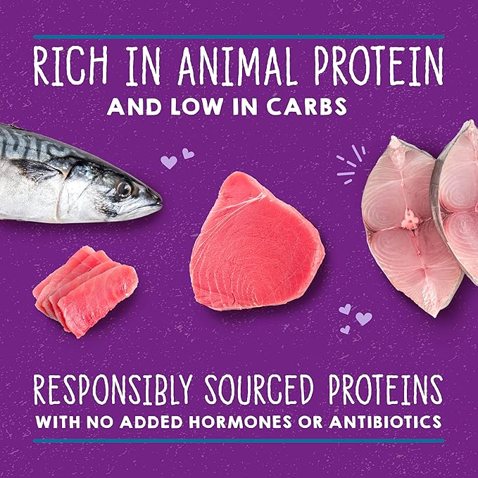 Stella & Chewy's Carnivore Cravings Savory Shreds Cans – Grain Free, Protein Rich Wet Cat Food – Wild-Caught Tuna & Mackerel Recipe – (5.2 Ounce Cans, Case of 24)